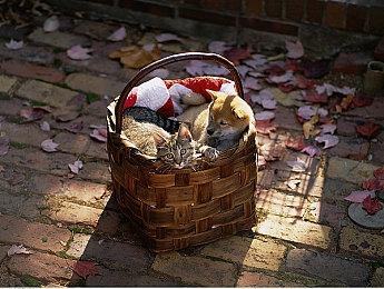 RTX3090运行《最终幻想7重制版》8K+光追演示 画面美