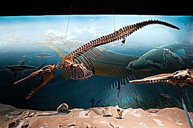 太空生存建造游戏《世代流亡》现已登录Steam平台 预计2025年推出